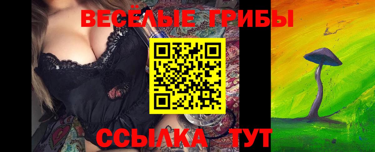 Псилоцибиновые грибы ЛСД Сосновый Бор